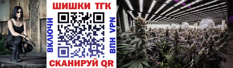 Купить наркотики Новодвинск mega ONION МАРИХУАНА APVP Меф Гашиш
