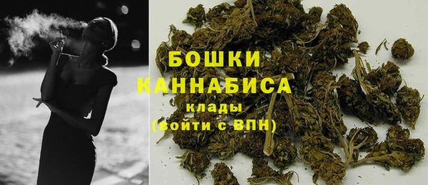 трава Алзамай