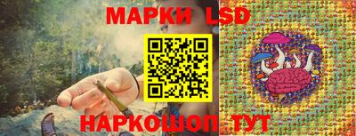 стаф Кандалакша