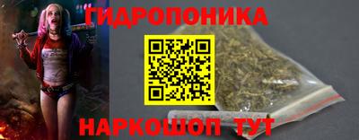 стаф Кандалакша