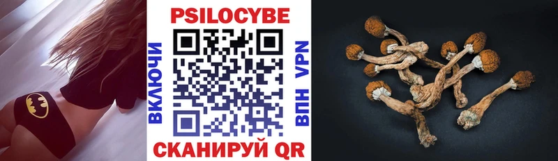 Псилоцибиновые грибы мицелий  как найти   shop формула  Новодвинск 