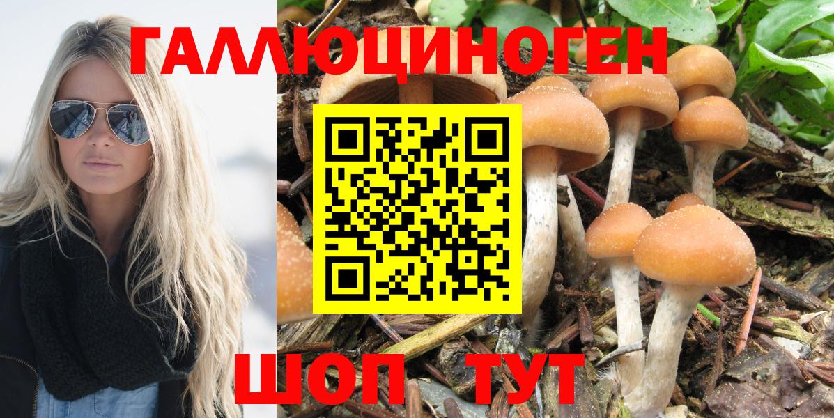 Псилоцибиновые грибы ЛСД  сколько стоит  Новодвинск  Псилоцибиновые грибы GOLDEN TEACHER  Вход с VPN 